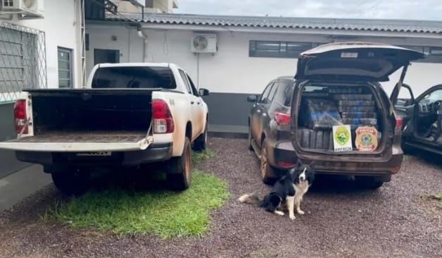 Polícia apreende mais de 2 toneladas de maconha, em Cascavel