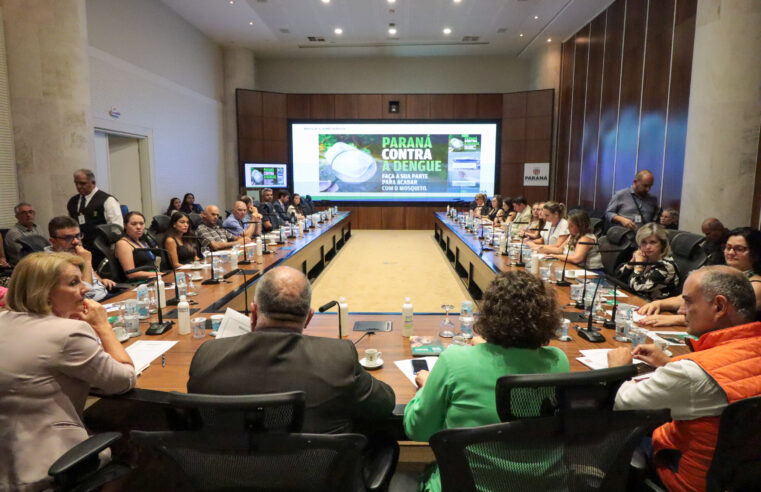 Comitê da dengue do Paraná convoca população para participar do Dia D neste sábado