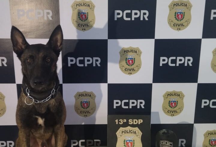 Ação integrada da Polícia Civil e Guarda Municipal resulta em prisão por tráfico e apreensão de cocaína