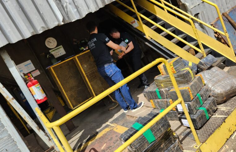 Polícia Civil e Polícia Militar do Paraná realizam incineração de duas toneladas de drogas apreendidas em Irati e Inácio Martins
