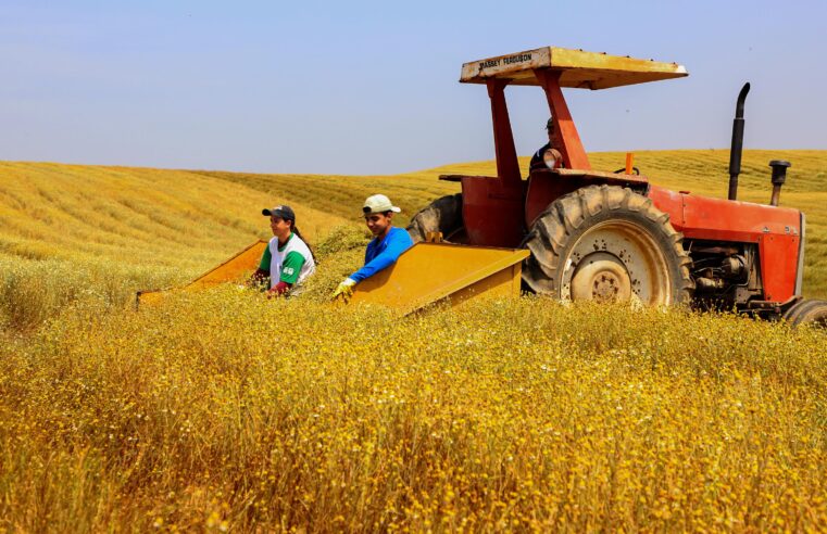 Paraná teve o maior crescimento da atividade econômica do Brasil em 2023