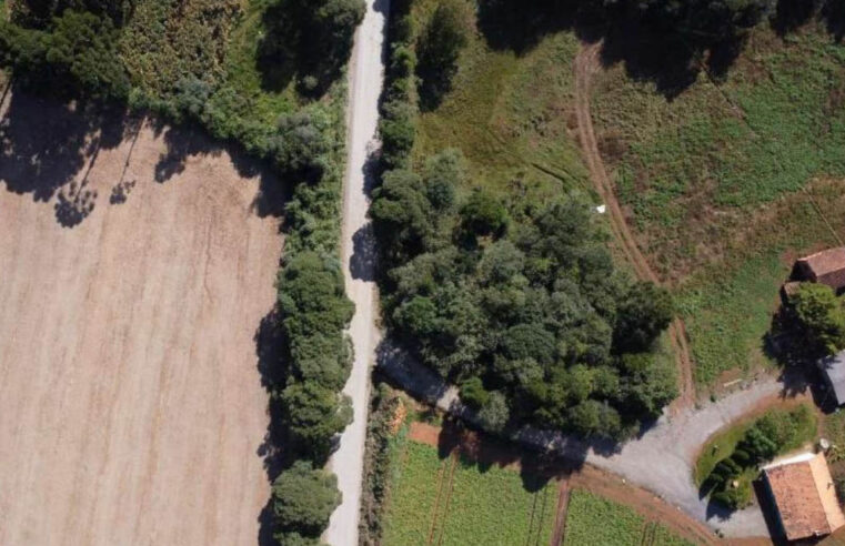 Rodovia de Rebouças terá obra de pavimentação com investimento de R$ 101 milhões