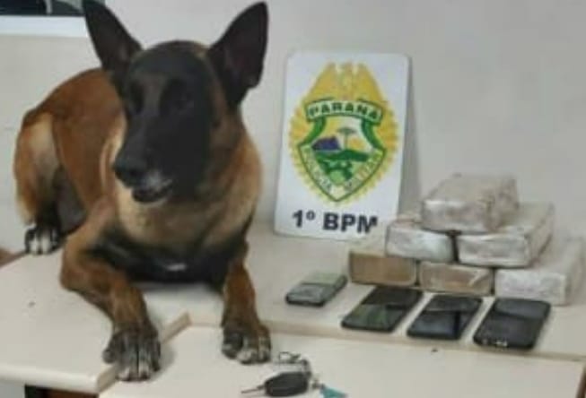 Operação da PM apreende mais de 6kg de drogas em Ponta Grossa