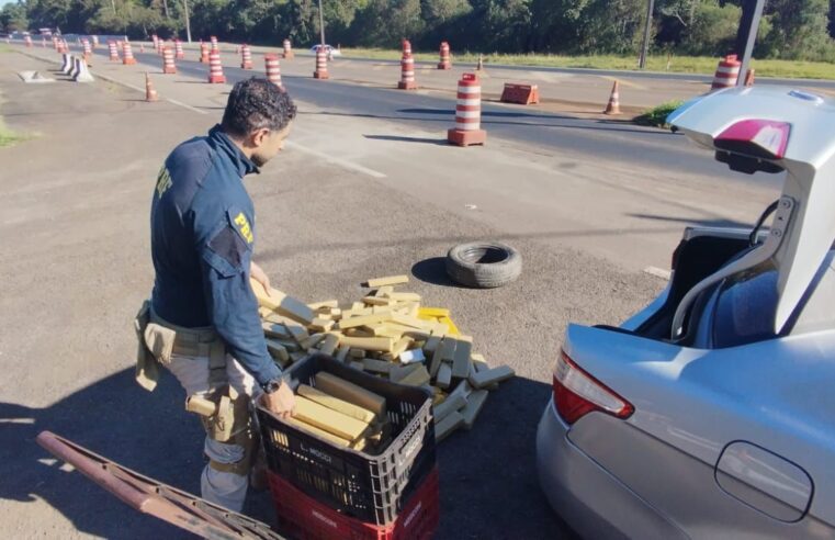 PRF prende homem e apreende mais de 200 kg de maconha em Guarapuava