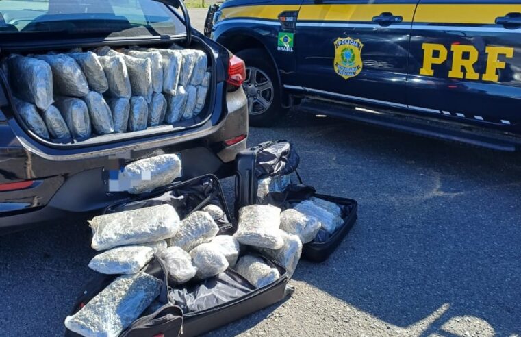 PRF apreende 122 kg de maconha em veículo na BR-277, em Balsa Nova