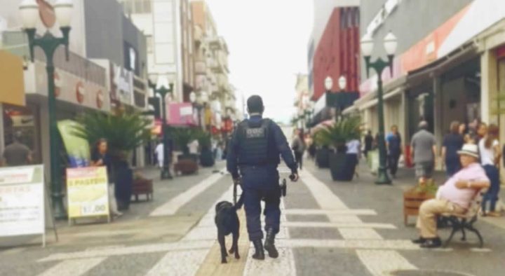 Homem é detido por importunação sexual no calçadão de PG