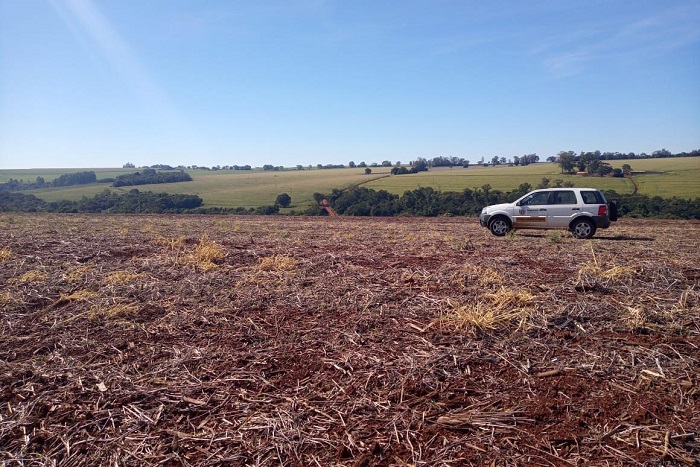 Vazio sanitário da soja inicia nesta sexta-feira nos Campos Gerais