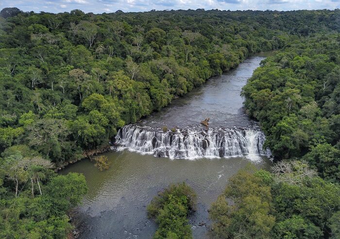 Mata ciliar aumenta 12% com proteção de nascentes e plantio de mudas