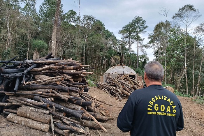 IAT intensifica fiscalização contra desmatamento ilegal