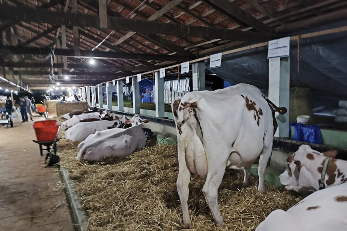 Investimento de R$ 40 milhões marca abertura da 50ª Expoleite