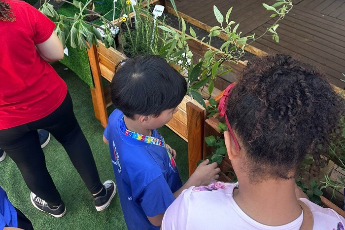 IAT promove a inclusão ambiental por meio de jardins sensoriais