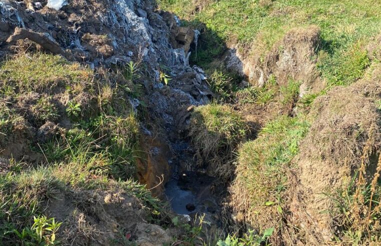 CRIADOR DE SUÍNOS CONTAMINA RIO E É MULTADO EM R$ 45 MIL