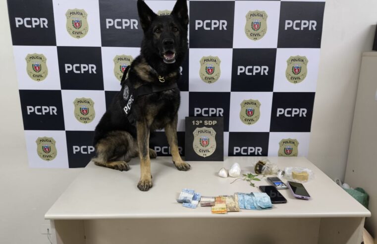 PCPR PRENDE MULHER POR TRÁFICO DE DROGAS NO JARDIM AMÁLIA EM PONTA GROSSA