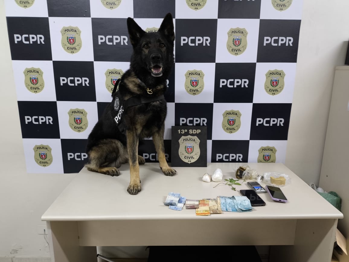 PCPR PRENDE MULHER POR TRÁFICO DE DROGAS NO JARDIM AMÁLIA EM PONTA GROSSA