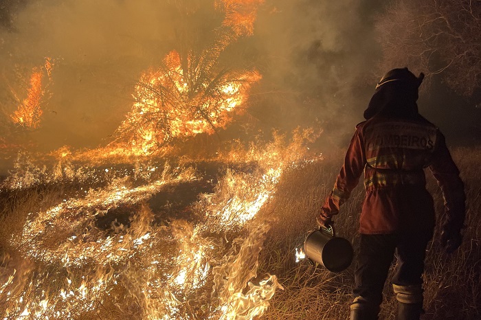 BOMBEIROS PARANAENSES ENCERRAM MISSÃO NO PANTANAL