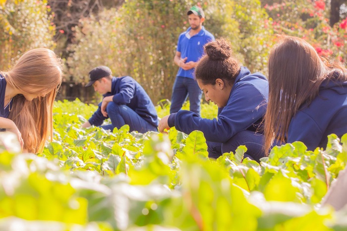 COLÉGIO AGRÍCOLA INICIA AS INSCRIÇÕES PARA 2025