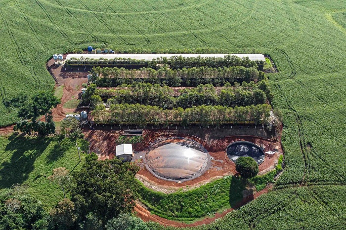 BIOGÁS A PARTIR DA SUINOCULTURA GERA RENDA EXTRA