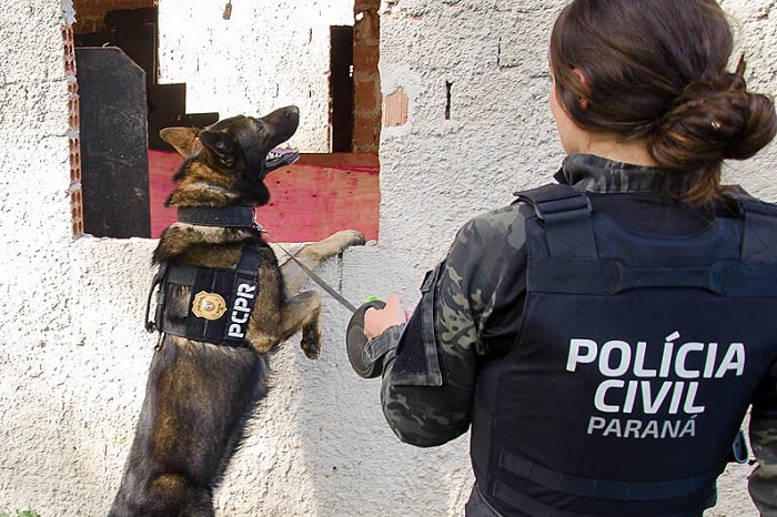 NÚCLEO DE CÃES DA POLÍCIA CIVIL COMPLETA 13 ANOS