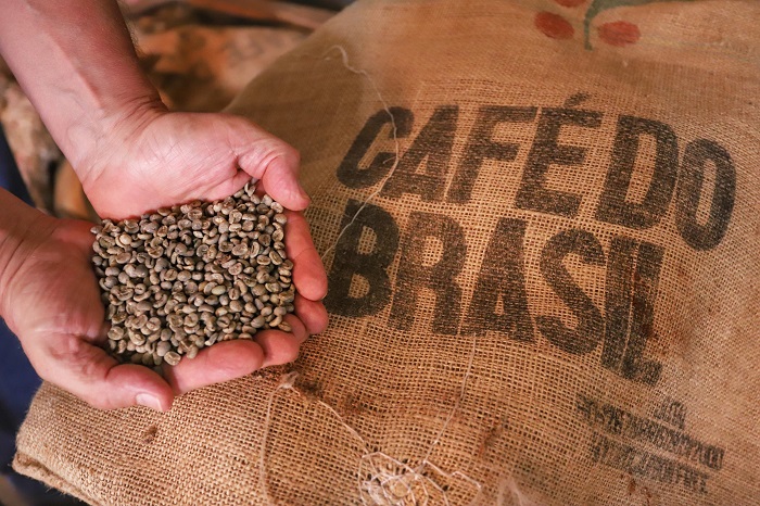 EXPORTAÇÃO DE CAFÉ PARANAENSE TEM MELHOR SEMESTRE EM 12 ANOS