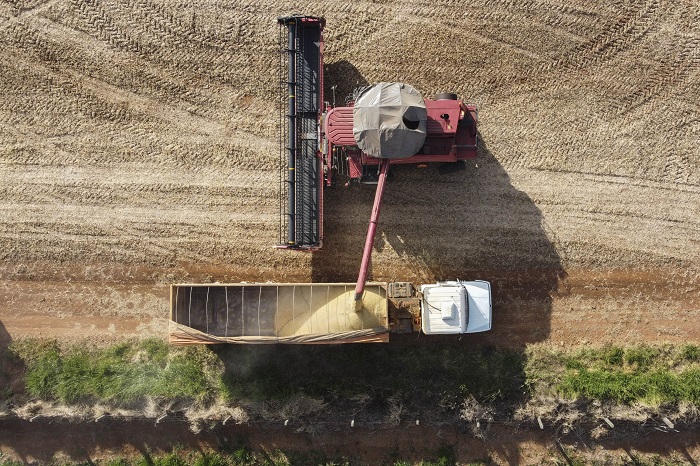 35 CIDADES DO PR TÊM PRODUÇÃO AGROPECUÁRIA SUPERIOR A R$ 1 BI
