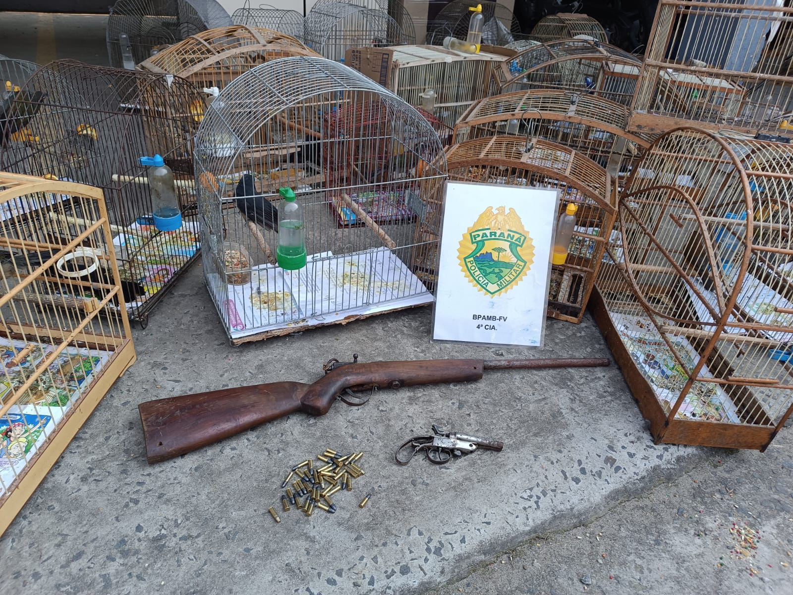 IRATI: POLÍCIA AMBIENTAL APREENDE 33 PÁSSAROS SILVESTRES E ARMAS EM RESIDÊNCIA NO BAIRRO LAGOA