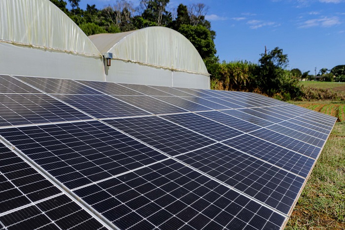 PRODUTOR DE HIDROPÔNICO REDUZ EM 85% CUSTOS COM ENERGIA ELÉTRICA