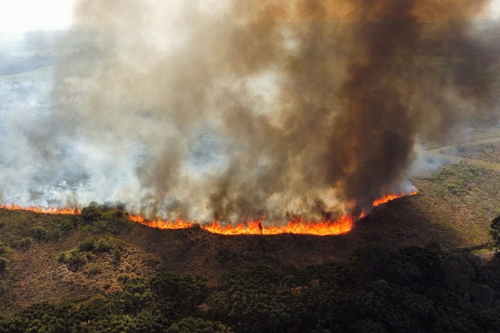 INCÊNDIO FLORESTAL ATINGE O PARQUE DE VILA VELHA