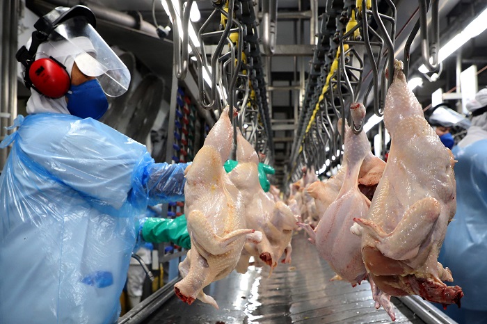 PARANÁ EXPORTA ALIMENTOS E BEBIDAS PARA 172 PAÍSES