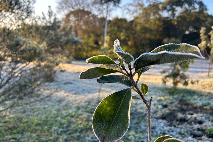 PONTA GROSSA REGISTRA TEMPERATURA DE 1.7ºC NESTA MANHÃ DE SEXTA-FEIRA