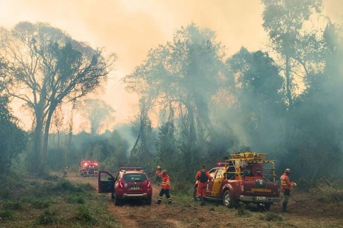 BOMBEIROS JÁ ATENDERAM 9.344 INCÊNDIOS FLORESTAIS EM 2024