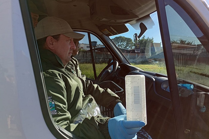 PARANÁ INICIA COMBATE À DENGUE COM “WOLBITOS”