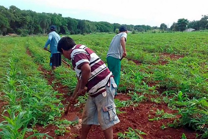 PARANÁ REAJUSTA PROGRAMAS DE COMBATE À VULNERABILIDADE RURAL