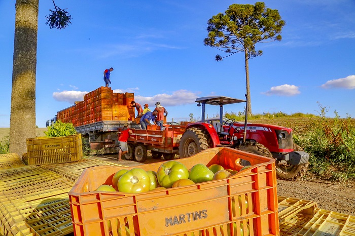 Alimentos e bebidas tiveram queda de 1,29% em julho