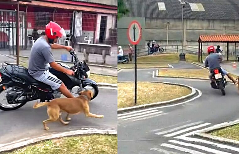 HOMEM É ATACADO POR CÃO E QUEBRA CLAVÍCULA