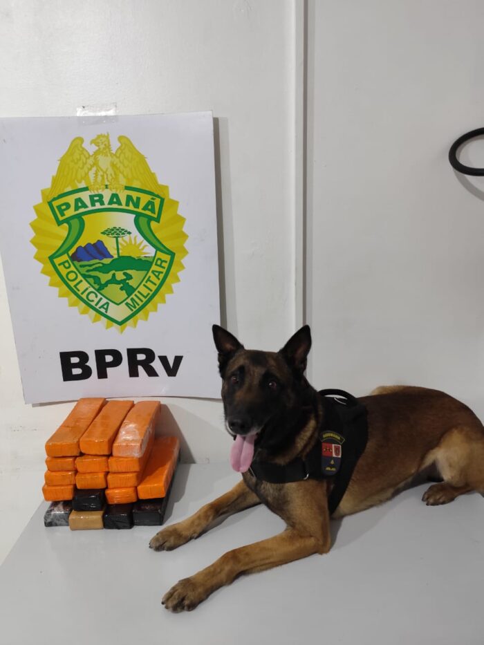MULHER É PRESA COM MAIS DE 11 KG DE MACONHA EM ÔNIBUS NA PR-151