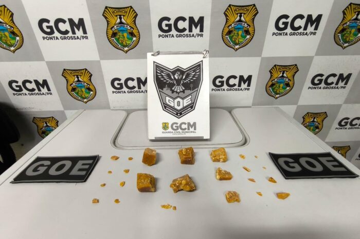 DROGAS EM CEMITÉRIO DE PONTA GROSSA: HOMEM É PRESO COM 253 GRAMAS DE CRACK