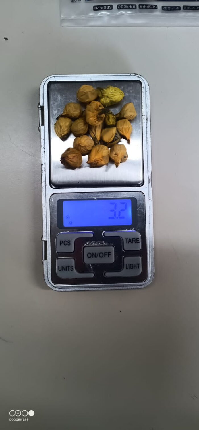 GUARDAS MUNICIPAIS ENCONTRAM DROGAS DURANTE PATRULHAMENTO NO DOM BOSCO