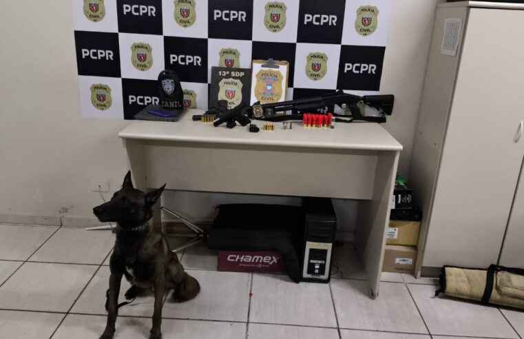 FORÇAS UNIDAS: POLÍCIA CIVIL E GUARDA CIVIL DE PONTA GROSSA PARTICIPAM DA OPERAÇÃO CARGA BRANCA (DEFLAGRAÇÃO 12-09-2024 VÍDEO)