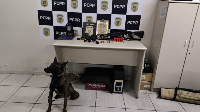 FORÇAS UNIDAS: POLÍCIA CIVIL E GUARDA CIVIL DE PONTA GROSSA PARTICIPAM DA OPERAÇÃO CARGA BRANCA (DEFLAGRAÇÃO 12-09-2024 VÍDEO)