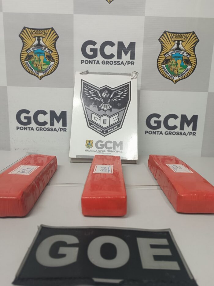 QUASE 2KG DE MACONHA SÃO APREENDIDOS EM BARRACO ABANDONADO EM PONTA GROSSA