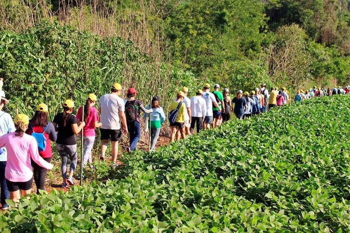 CONFIRA A PROGRAMAÇÃO DE CAMINHADAS DA NATUREZA EM SETEMBRO NO PR