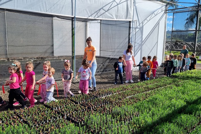 IAT DISTRIBUI 63 MIL MUDAS DE ESPÉCIES NATIVAS NA SEMANA DA ÁRVORE