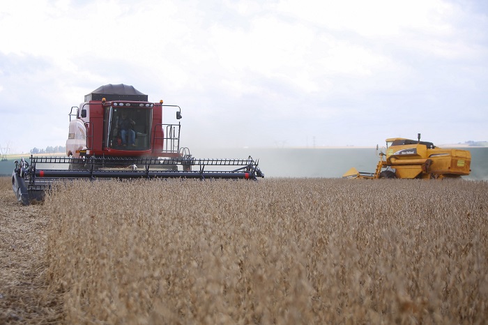 CHUVAS FAVORECEM PLANTIO DA SOJA E PRODUÇÃO ESTIMADA É DE 22,4 MILHÕES DE TONELADAS