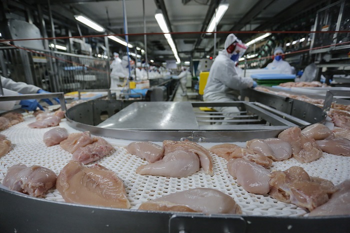 EXPORTAÇÕES DO PARANÁ CHEGAM A US$ 18,1 BILHÕES EM 2024