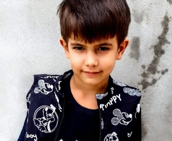 CRIANÇA DE 6 ANOS MORRE APÓS ATAQUE DE ABELHAS