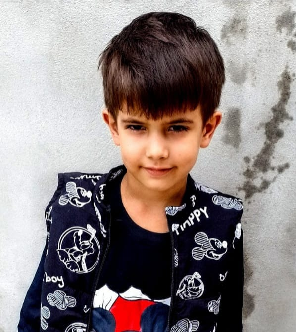 CRIANÇA DE 6 ANOS MORRE APÓS ATAQUE DE ABELHAS