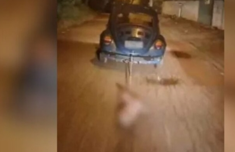 MP DENUNCIA HOMEM QUE MATOU E ARRASTOU EM VIA PÚBLICA UM PITBULL AMARRADO A UM CARRO