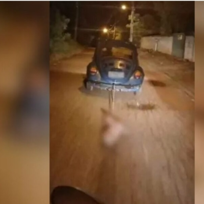MP DENUNCIA HOMEM QUE MATOU E ARRASTOU EM VIA PÚBLICA UM PITBULL AMARRADO A UM CARRO