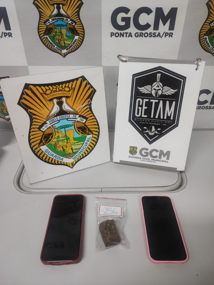 CENTRO DE PONTA GROSSA: DUPLA É PRESA POR TRÁFICO DE DROGAS