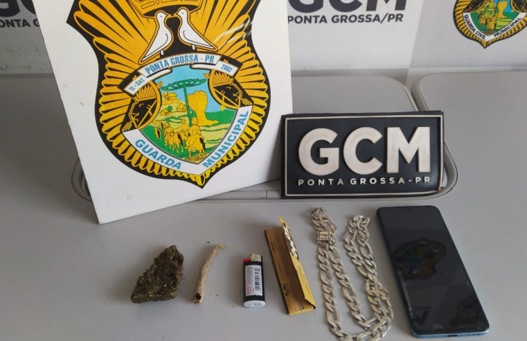 HOMEM É FLAGRADO COM MACONHA EM PRAÇA DE PONTA GROSSA